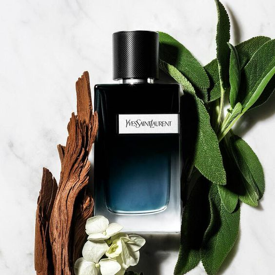 Y Eau de Parfum Intense by Yves Saint Laurent | CODE #451 (Inspired Version)